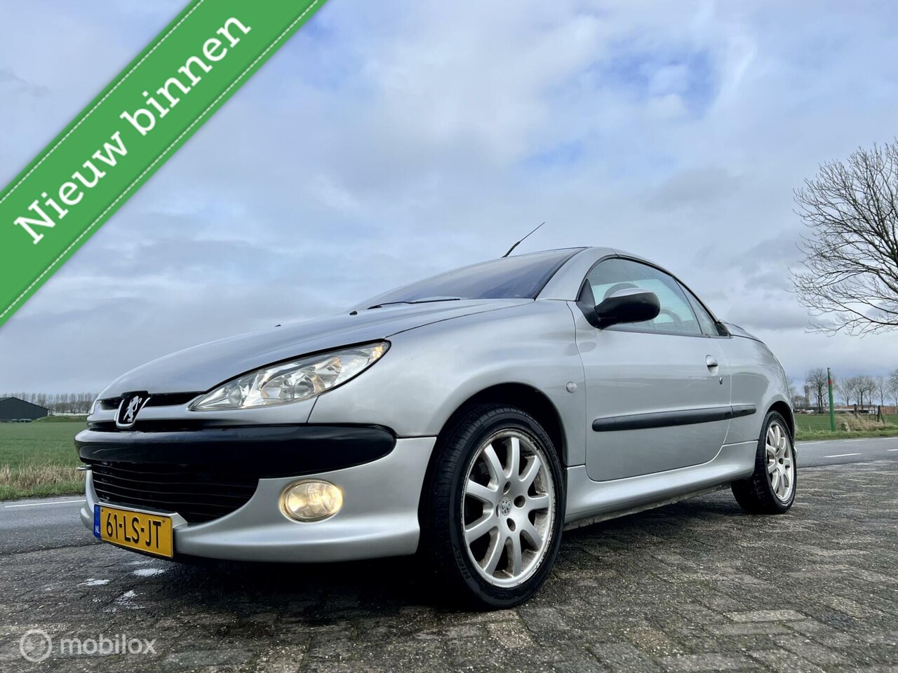 Peugeot 206 CC - 1.6-16V Premium 1.6-16V Premium, BJ 2003, Leer, APK Feb 2024 - AutoWereld.nl