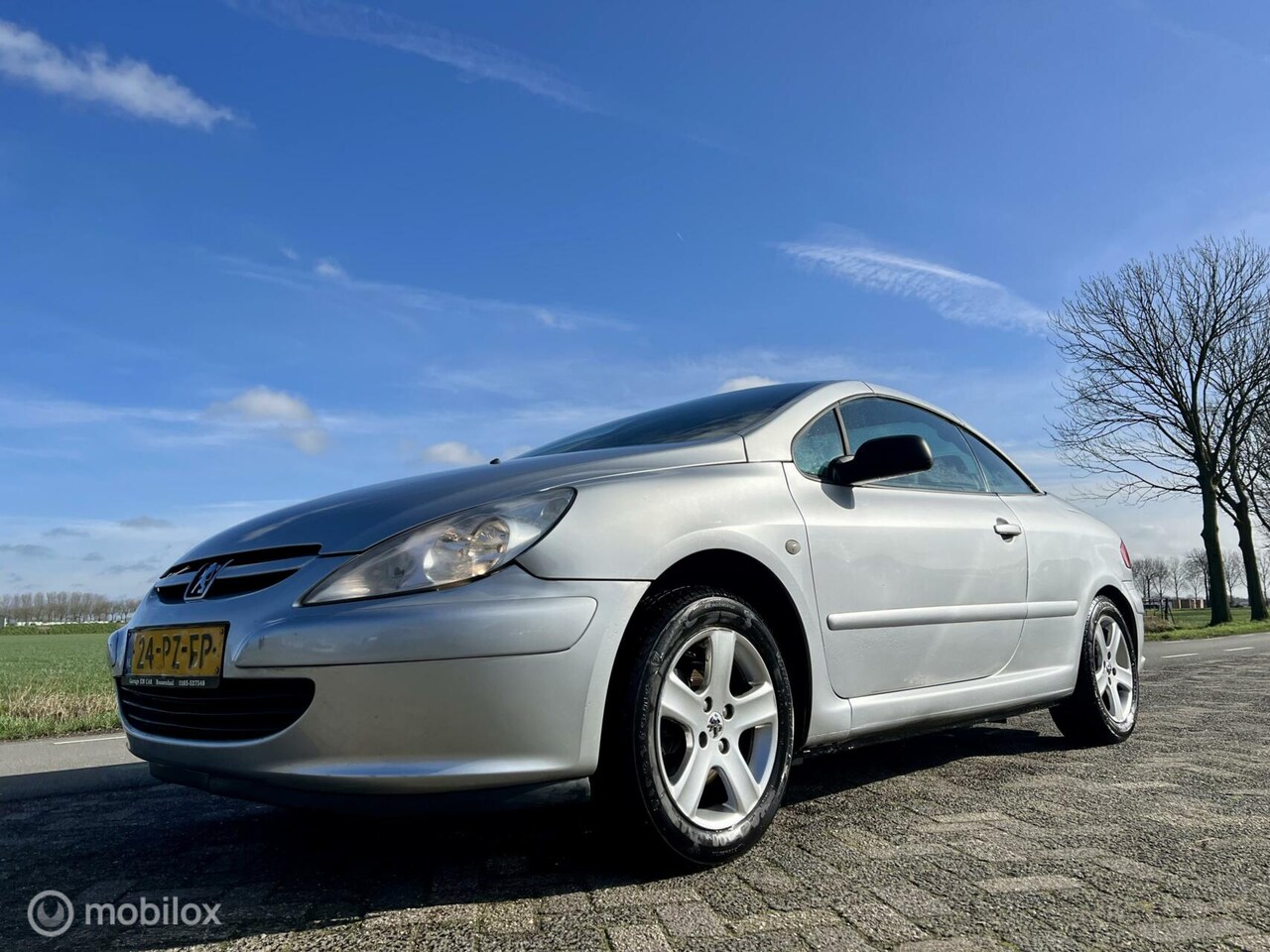 Peugeot 307 CC - 2.0-16V 2.0-16V, BJ 2004, Lage km, Nwe APK, PDC, Navi - AutoWereld.nl