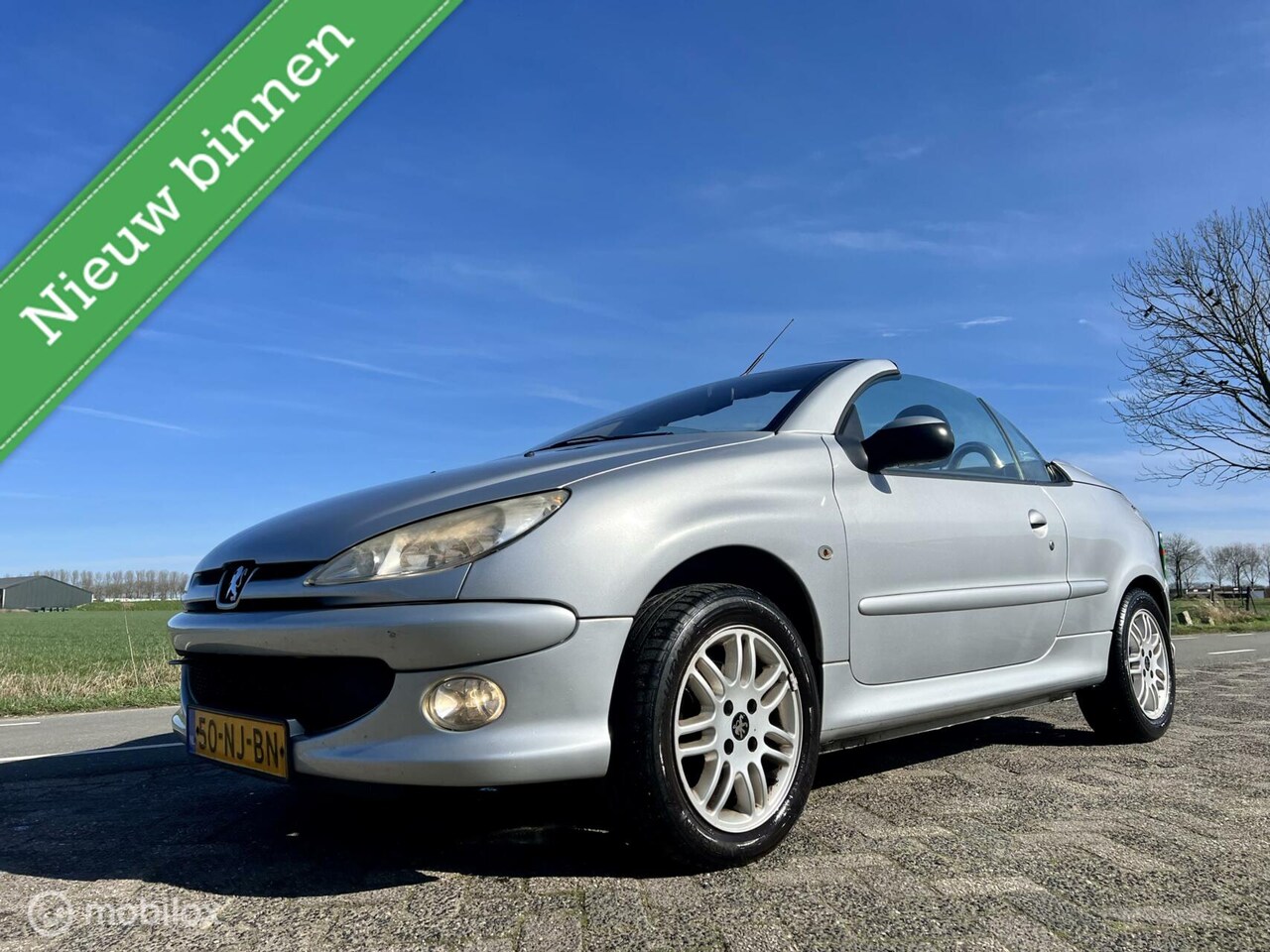 Peugeot 206 CC - 1.6-16V Premium 1.6-16V Premium, BJ 2003, Airco, APK Mrt 2025 - AutoWereld.nl