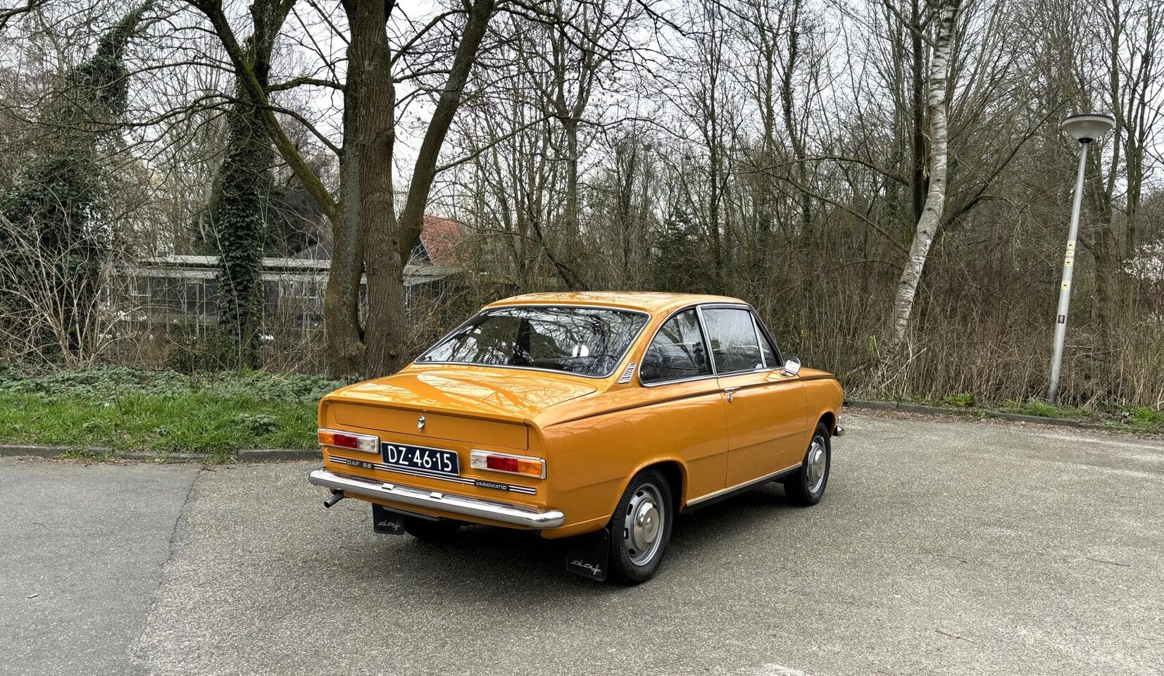 daf-55.jpg
