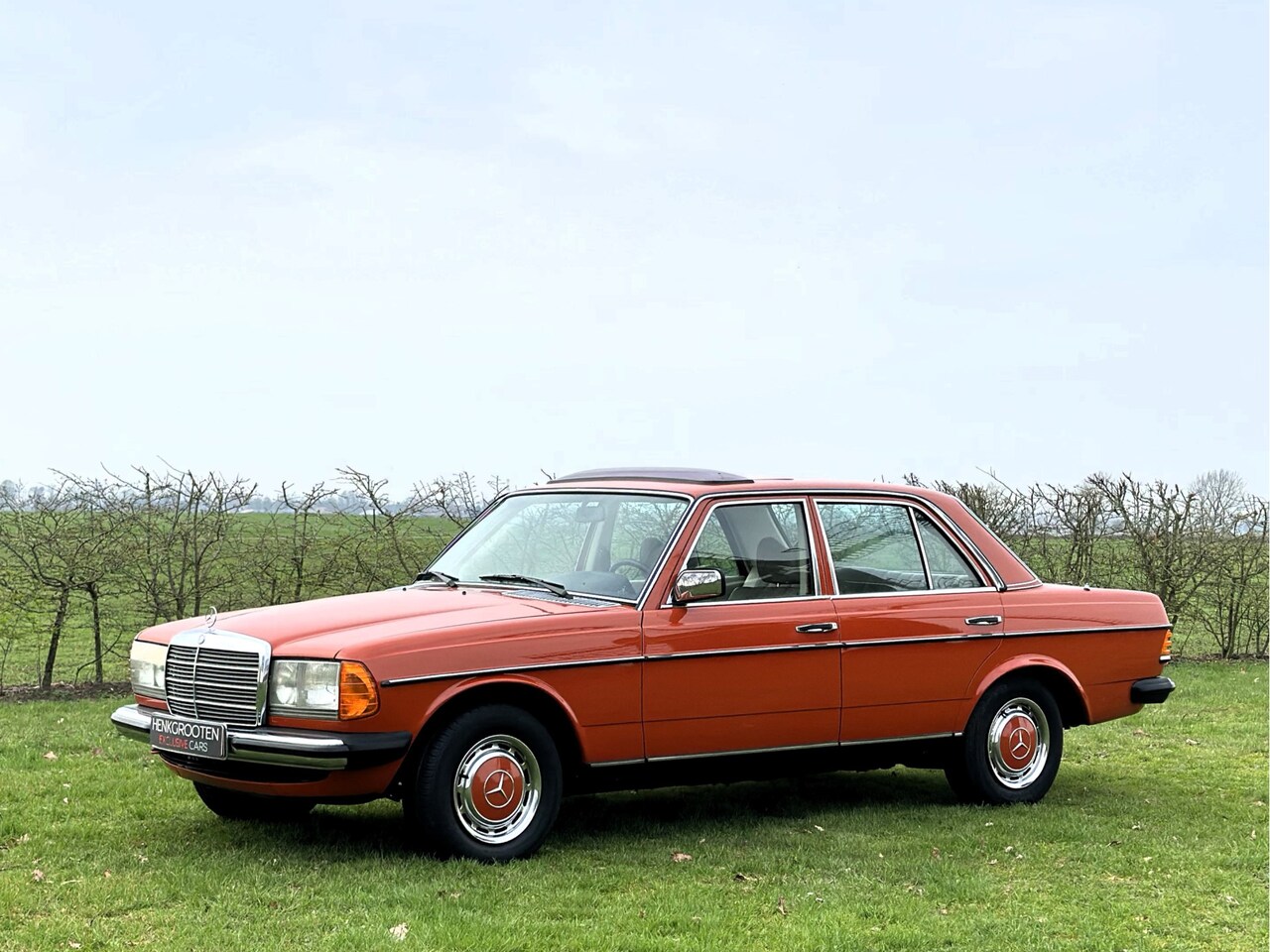 mercedes-benz-200-280-w123-w123-240-d-w123-59-000-km.jpg