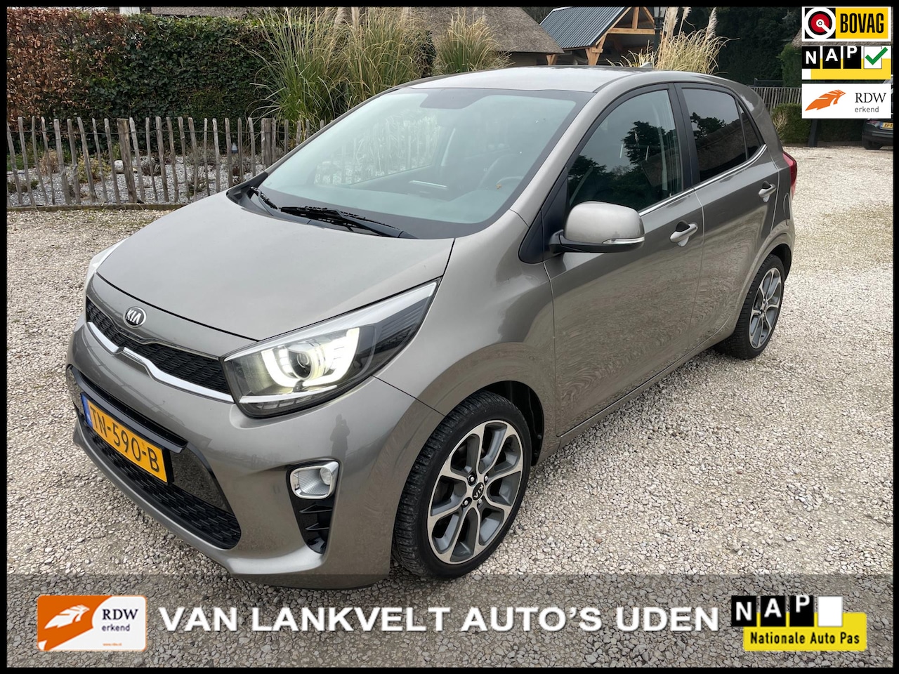 Kia Picanto - 1.0 CVVT Colour Edition navi, ecc, leder - AutoWereld.nl