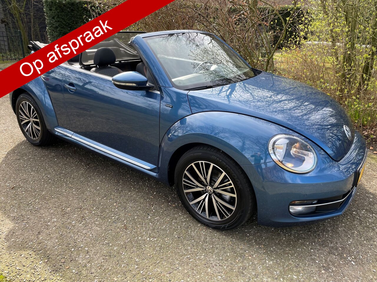 Volkswagen Beetle Cabriolet - Allstar Blue Motion Tech 1.2 TSI - AutoWereld.nl