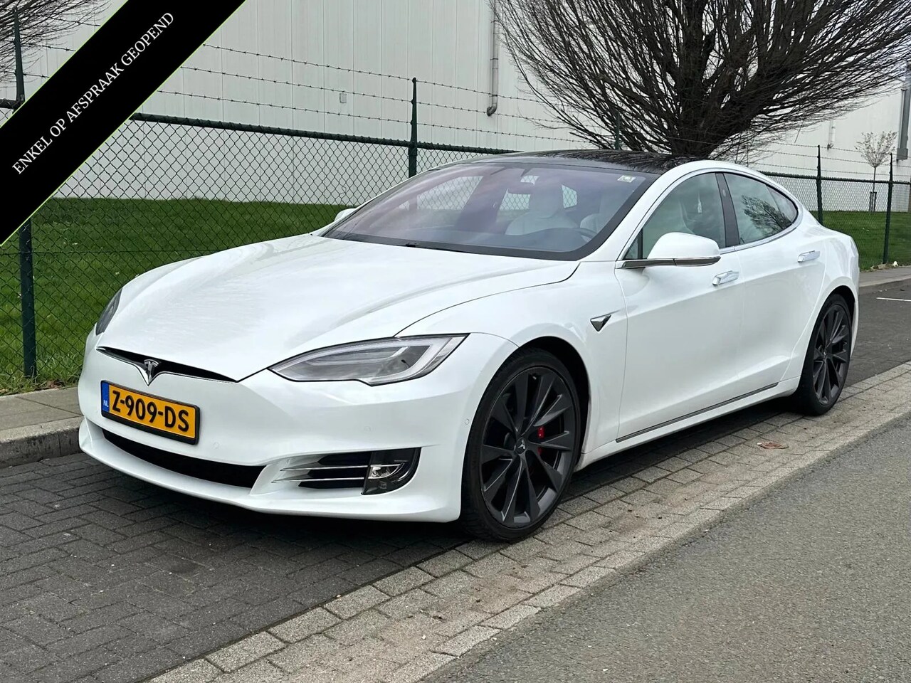 Tesla Model S Performance Raven 21 inch FSD 2019 Elektrisch Occasion
