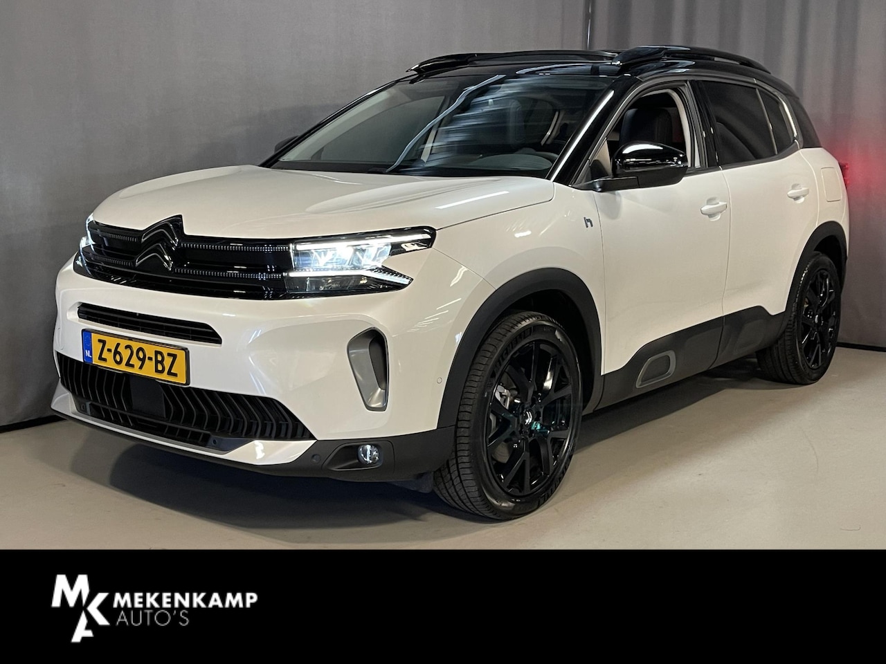 Citroën C5 Aircross - 1.6 Plug-in Hybrid ë-Series 19"/Panoramadak/Elektrische klep/Elektrische stoel/Camera/PDC - AutoWereld.nl