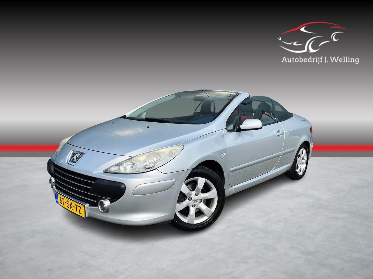 Peugeot 307 CC - 1.6-16V / leer / clima / cruise - AutoWereld.nl