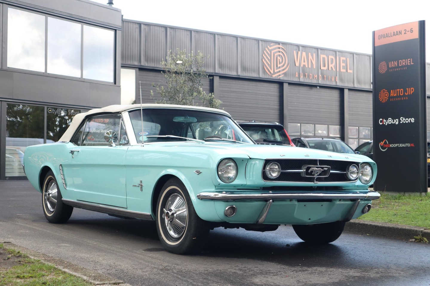 Ford Mustang Convertible - | C code | - AutoWereld.nl