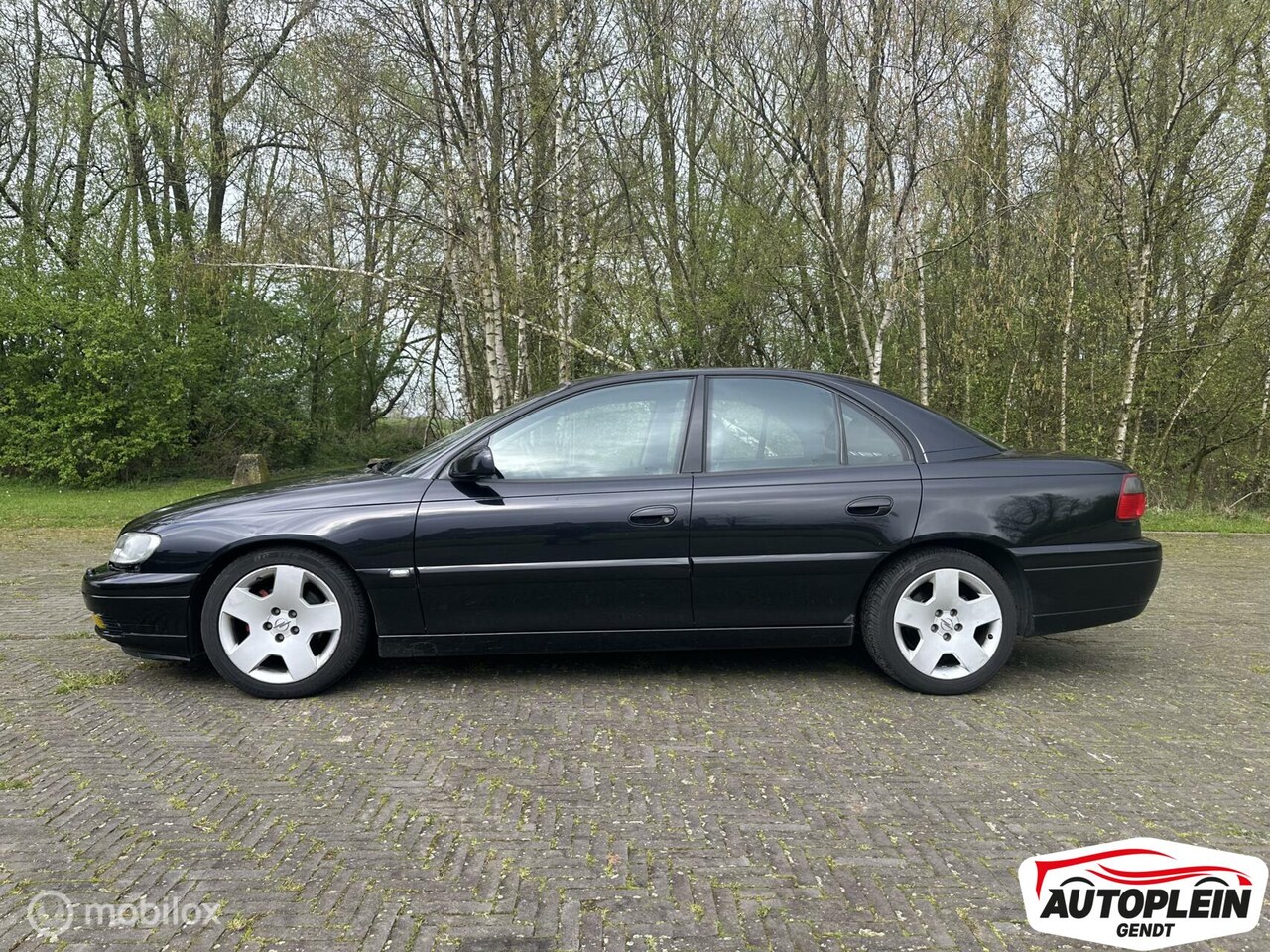 www.autowereld.nl