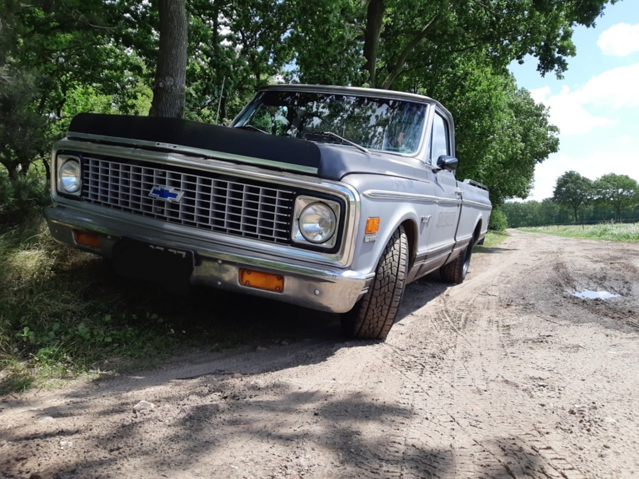 Chevrolet C10 - C10 Nine Window - AutoWereld.nl