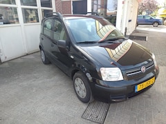 Fiat Panda - 1.2 Edizione Cool