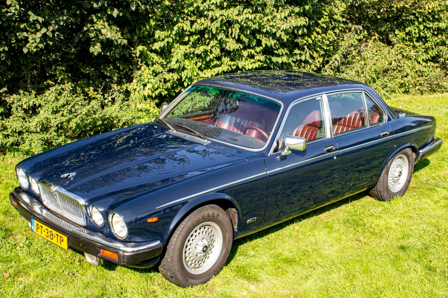 Jaguar Sovereign - 5.3 V12 Sovereign "nette auto!" - AutoWereld.nl