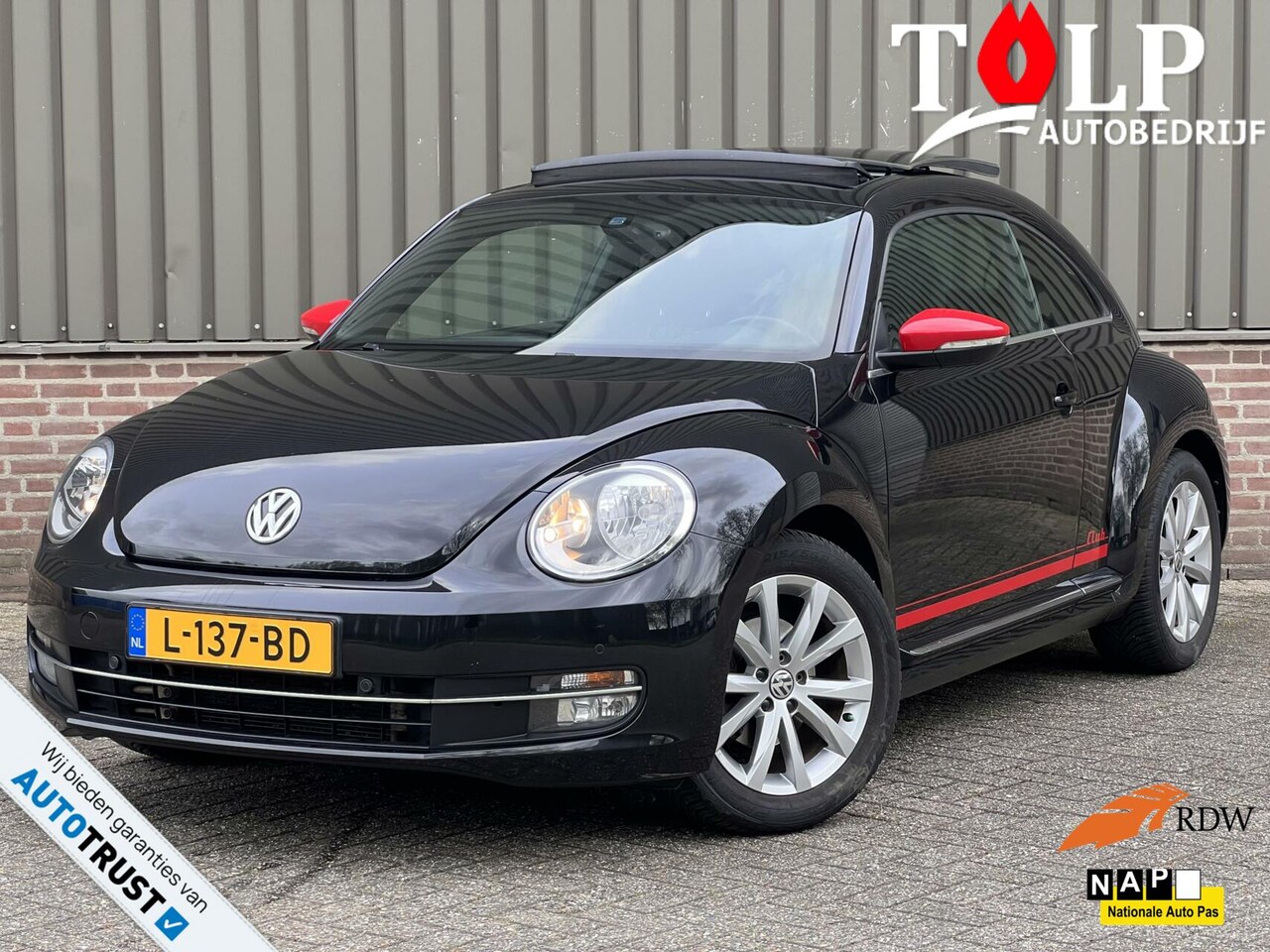 Volkswagen Beetle 1 2 Tsi Exclusive Club Pano Cruise Navi 2016 Benzine Occasion Te Koop Op