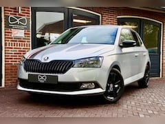 Skoda Fabia - 1.0 TSI Ambition | CARPLAY | DSG | CRUISE | AIRCO | STOELVERWARMING