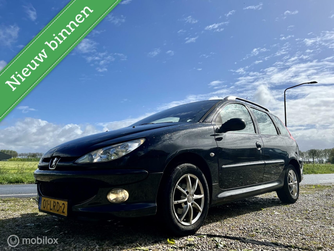 Peugeot 206 SW - 1.4 Air-line 1.4 Air-line, BJ 2006, Lage km, APK Mei 2025 - AutoWereld.nl