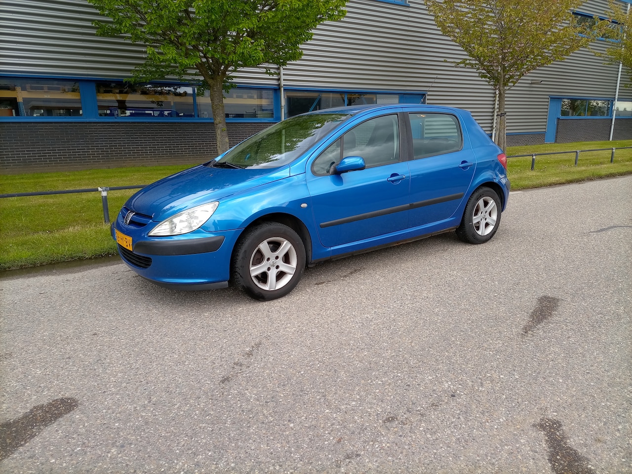 Peugeot 307 - 1.6-16V XS Airco (ijskoud) APK tot  december 2024 - AutoWereld.nl