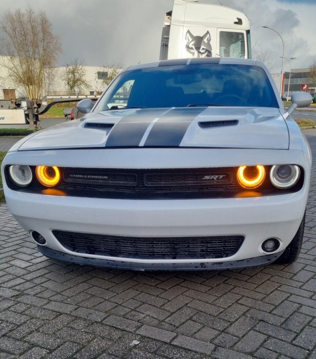 Dodge Challenger - DODGE - AutoWereld.nl