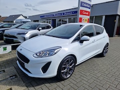 Ford Fiesta - 1.0 EcoBoost / NWE Riem / Parkeerassistent / Camera / DAB+ / Apple Carplay