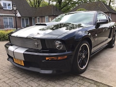 Ford Mustang - Shelby GT Mustang shelby 4.6 V8 GT