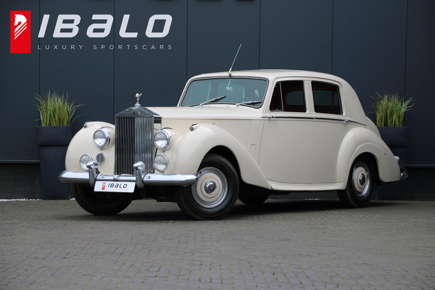 Rolls-Royce Silver Dawn - 4.6 6-cilinder | 1953 | Automaat | Slechts 7.951km | BTW-Auto | - AutoWereld.nl