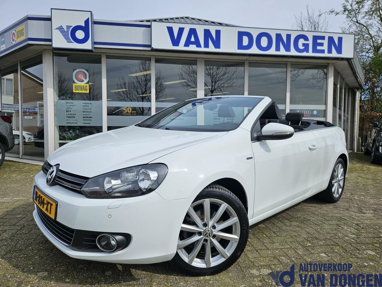 Volkswagen Golf Cabriolet - 1.4 TSI | Lounge | Navi / Cruise / PDC - AutoWereld.nl