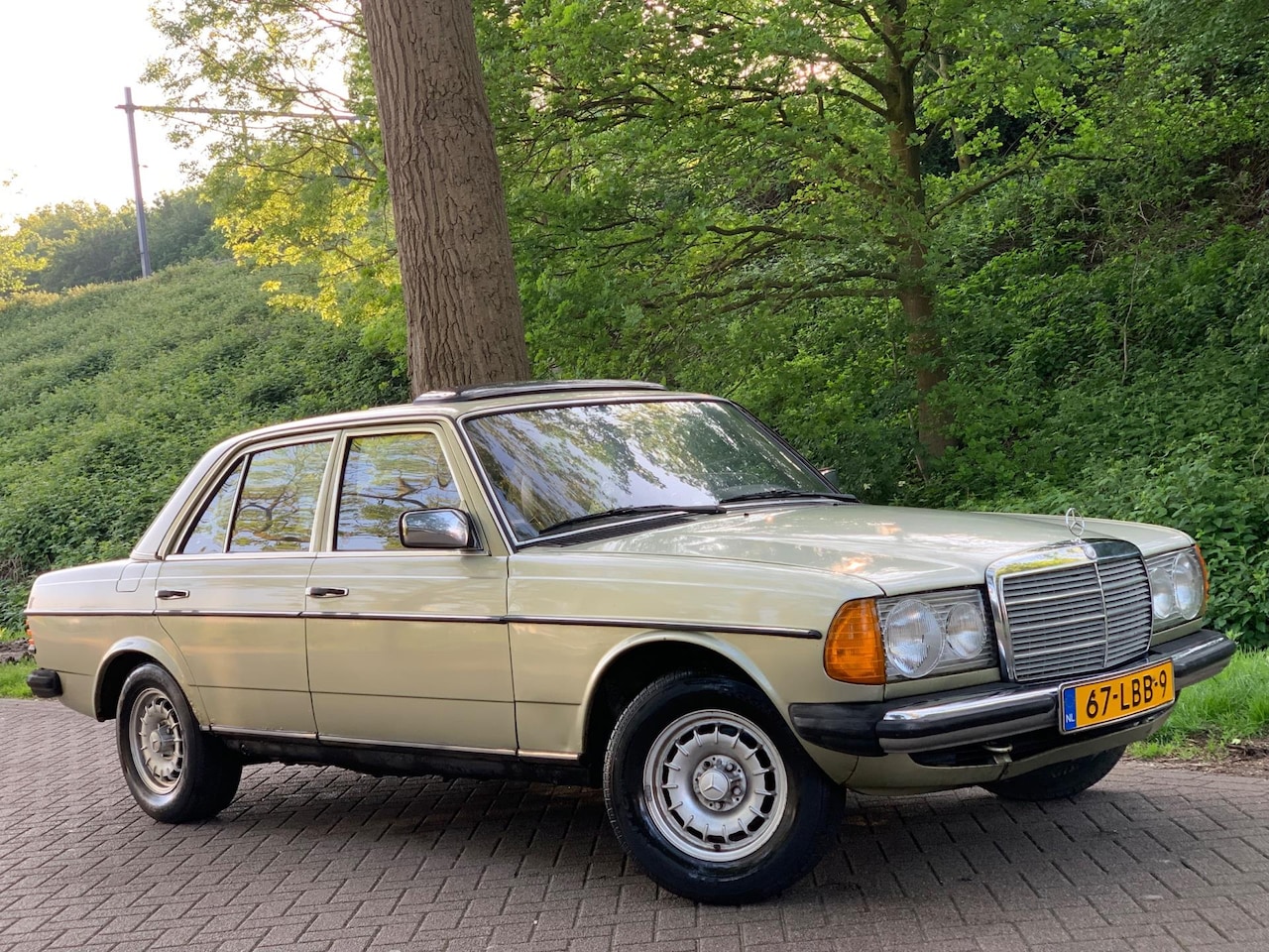 Mercedes-Benz 200-280 (W123) - 230 E W1230 SEDAN AUTOMAAT SCHUIFDAK 1982 ! - AutoWereld.nl