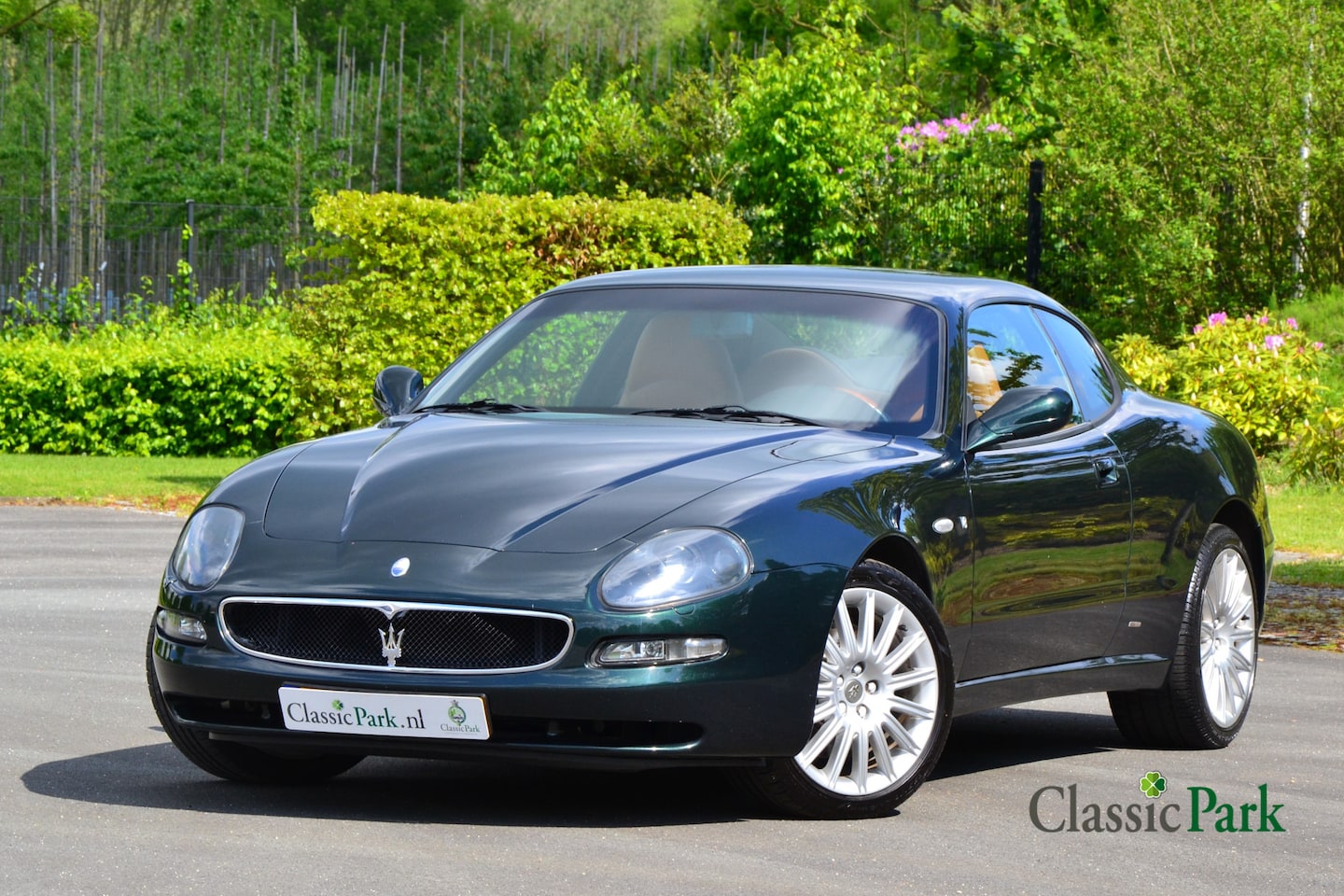 Maserati Coupé - Cambiocorsa - AutoWereld.nl