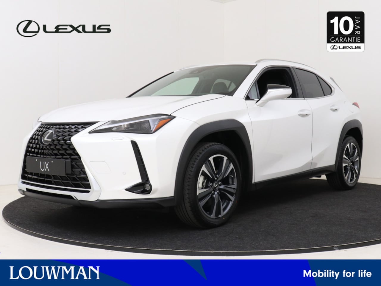 Lexus UX - 250h Business Line | Apple Carplay & Android Auto | Parkeersensoren | 18" LM Velgen | - AutoWereld.nl