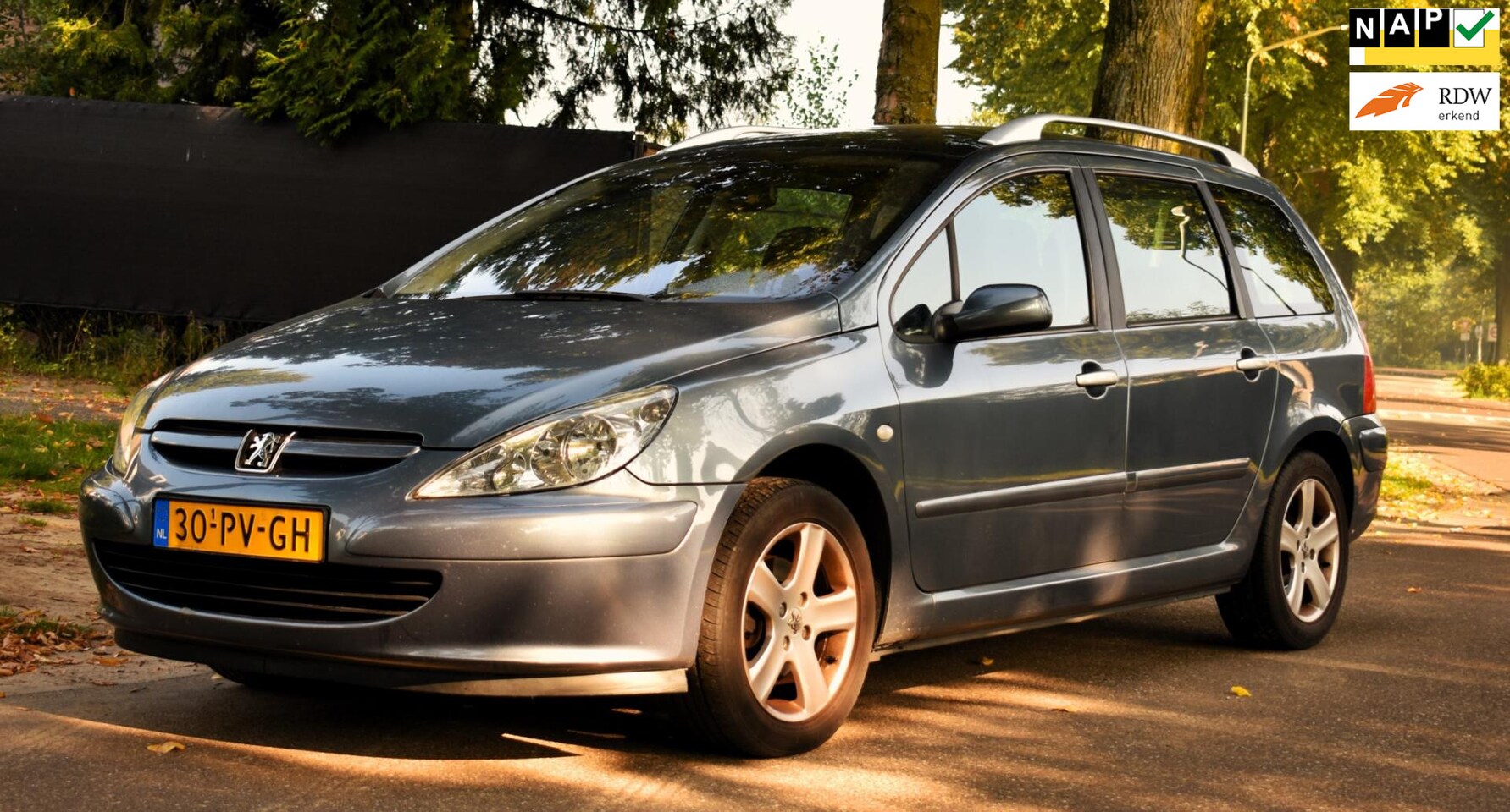 Peugeot 307 SW - 2.0 16V Premium MET CRUISE CONTROL, TREKHAAK, AIRCO EN MEER! - AutoWereld.nl