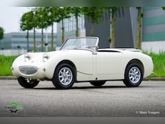 Austin Healey - Sprite Mk1 "Kikkeroog"