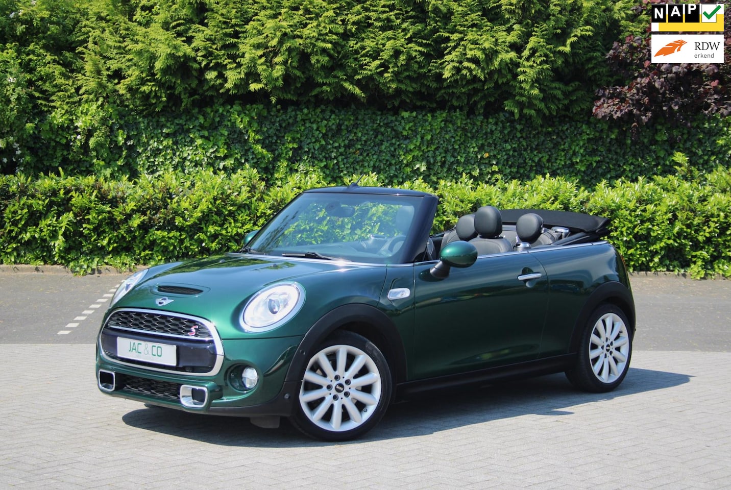 MINI Cabrio - 2.0 Cooper S Chili-Yours-Lounge-Automaat - AutoWereld.nl