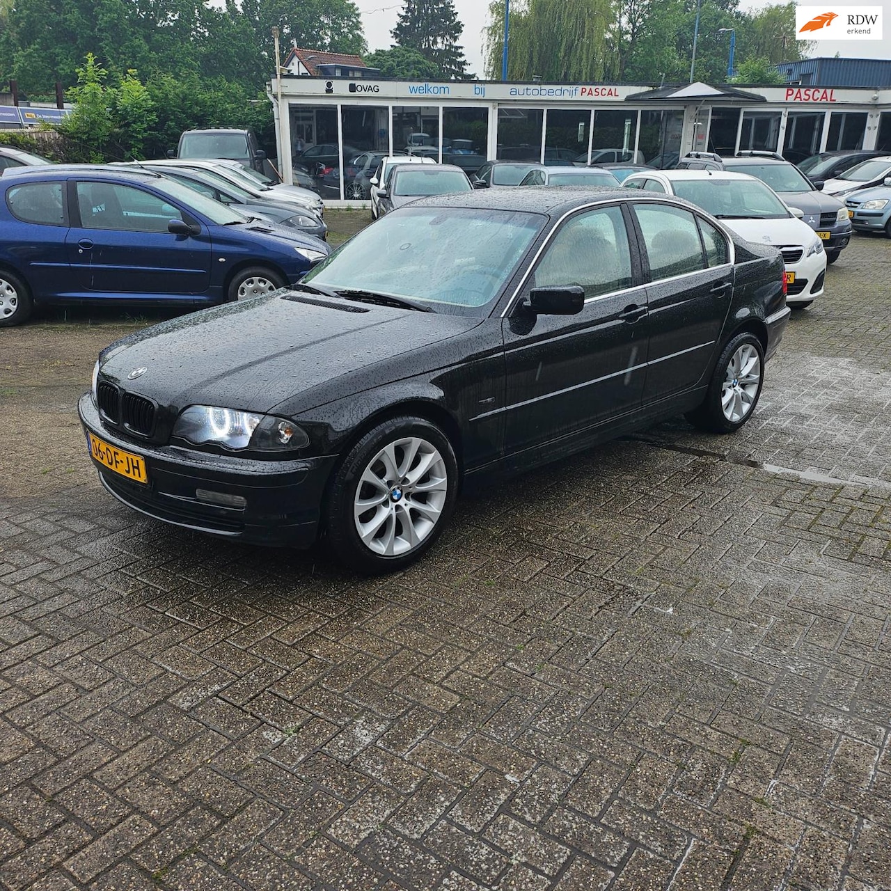 BMW 3-serie - 323i Executive Aut. - Lederenbek - Angeleyes - Navi - Cruisecontrol. - AutoWereld.nl