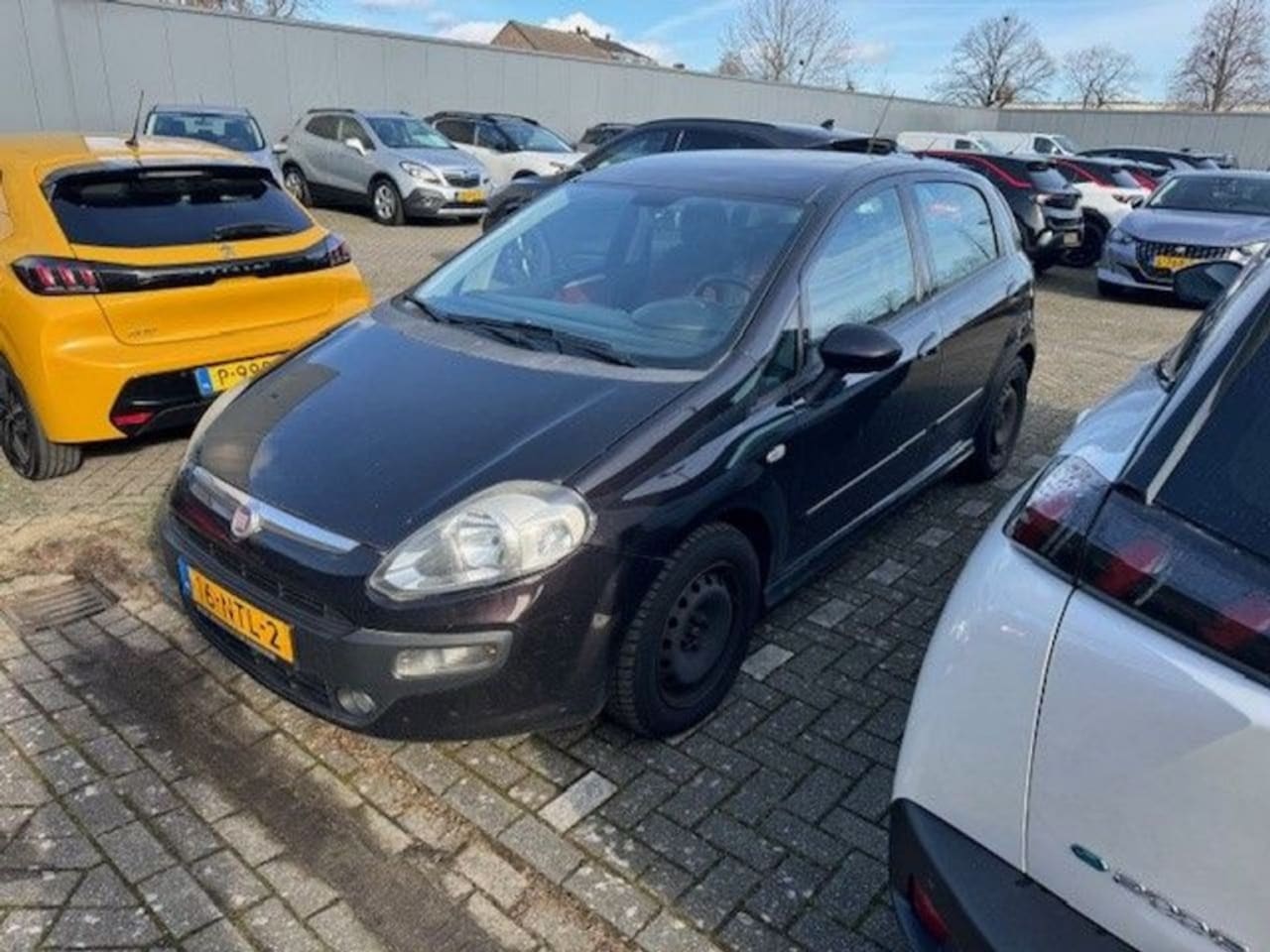 Fiat Punto Evo - 1.3 M-Jet Dynamic 1.3 M-Jet Dynamic - AutoWereld.nl