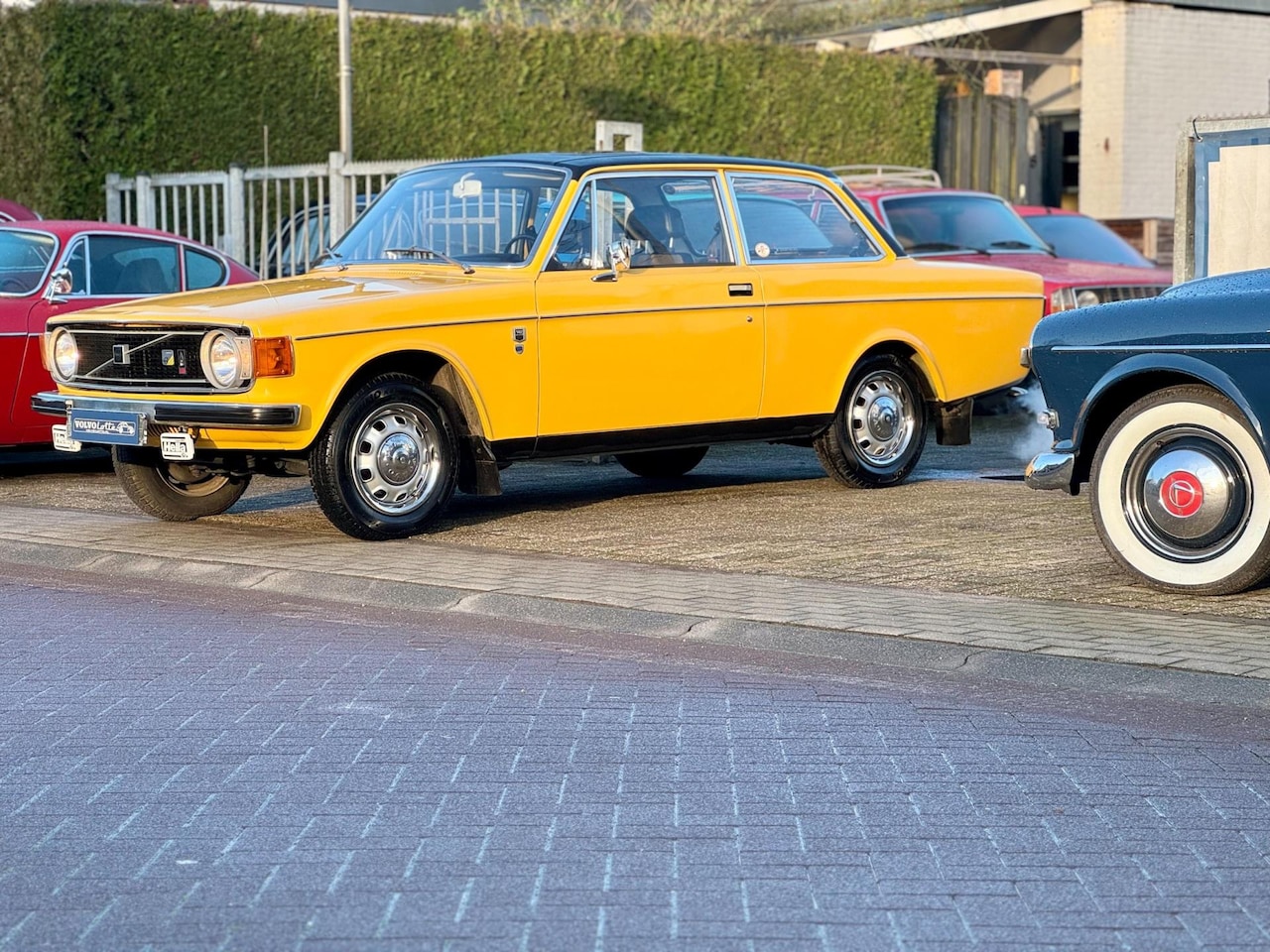 Volvo 142 - De Luxe gerestaureerd in prachtige kleurstelling - AutoWereld.nl