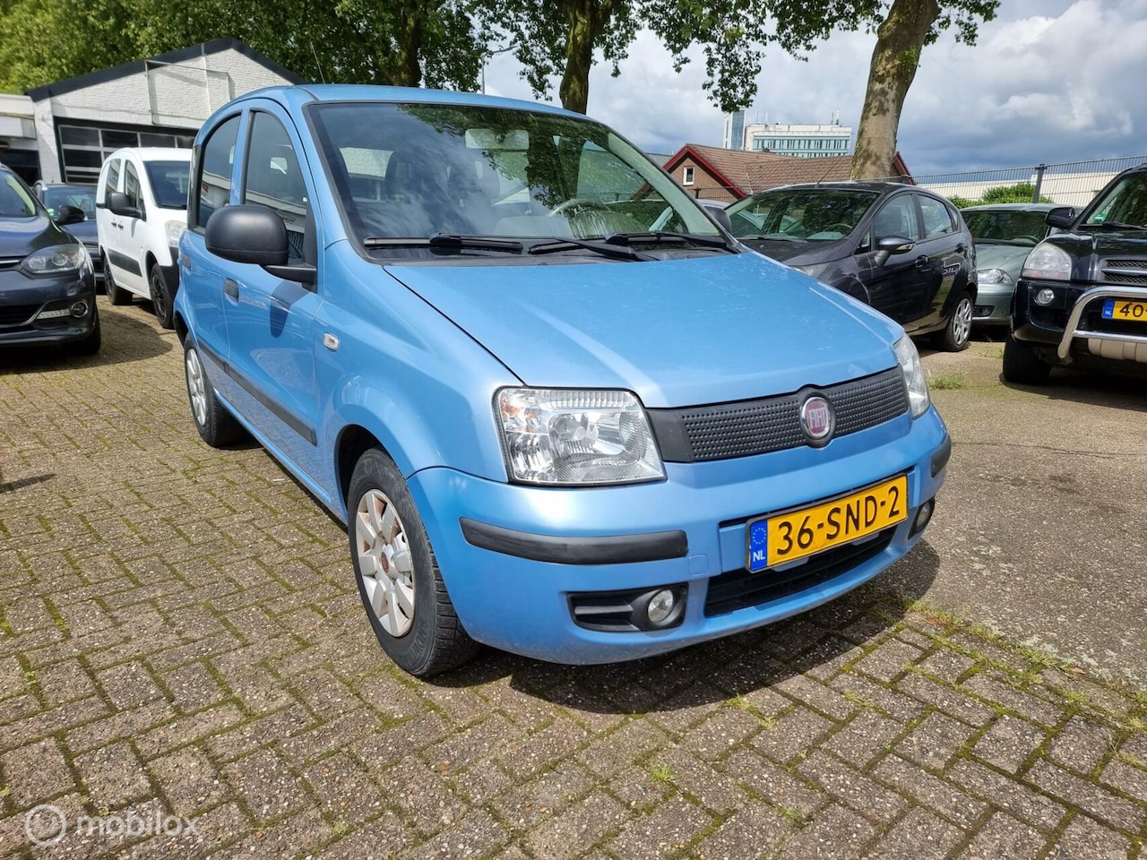 Fiat Panda - 1.2 Actual 1.2 Actual - AutoWereld.nl