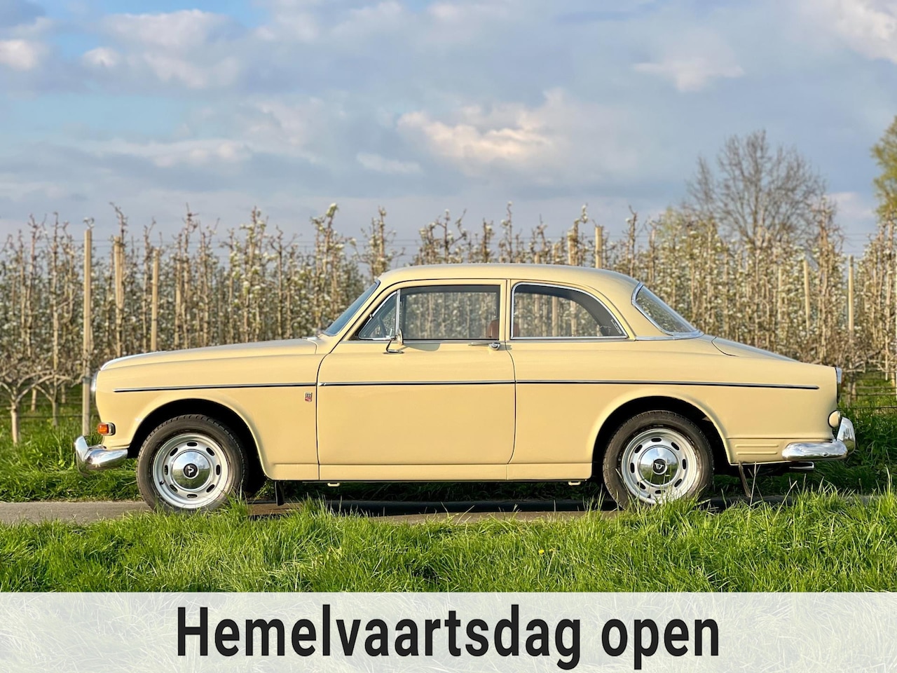 Volvo Amazon - 122S Automaat, vers gespoten, dubbele SU, zeldzaam - AutoWereld.nl