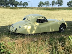 Jaguar XK - Xk120 Coupe