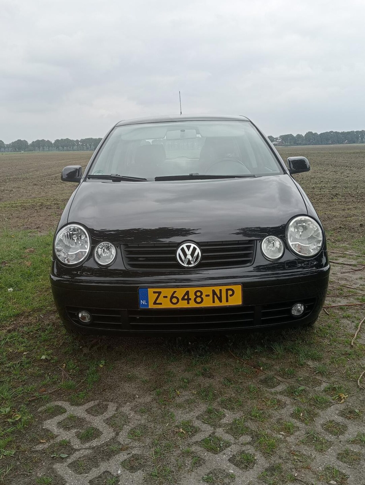 Volkswagen Polo - AutoWereld.nl