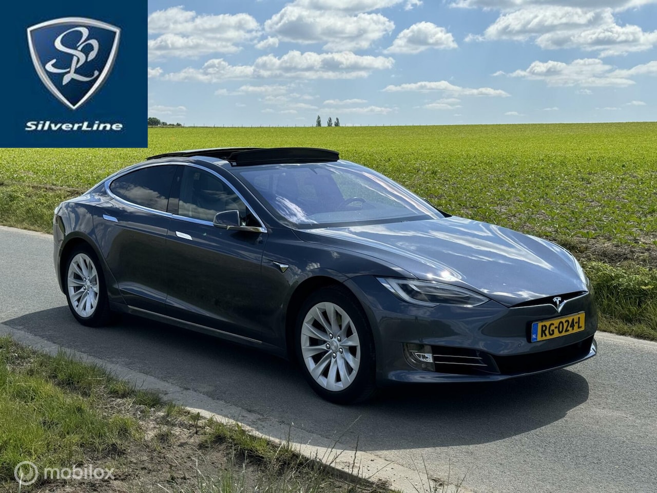 Tesla Model S - 75 kWh bj. 2017 premium autopilot - AutoWereld.nl