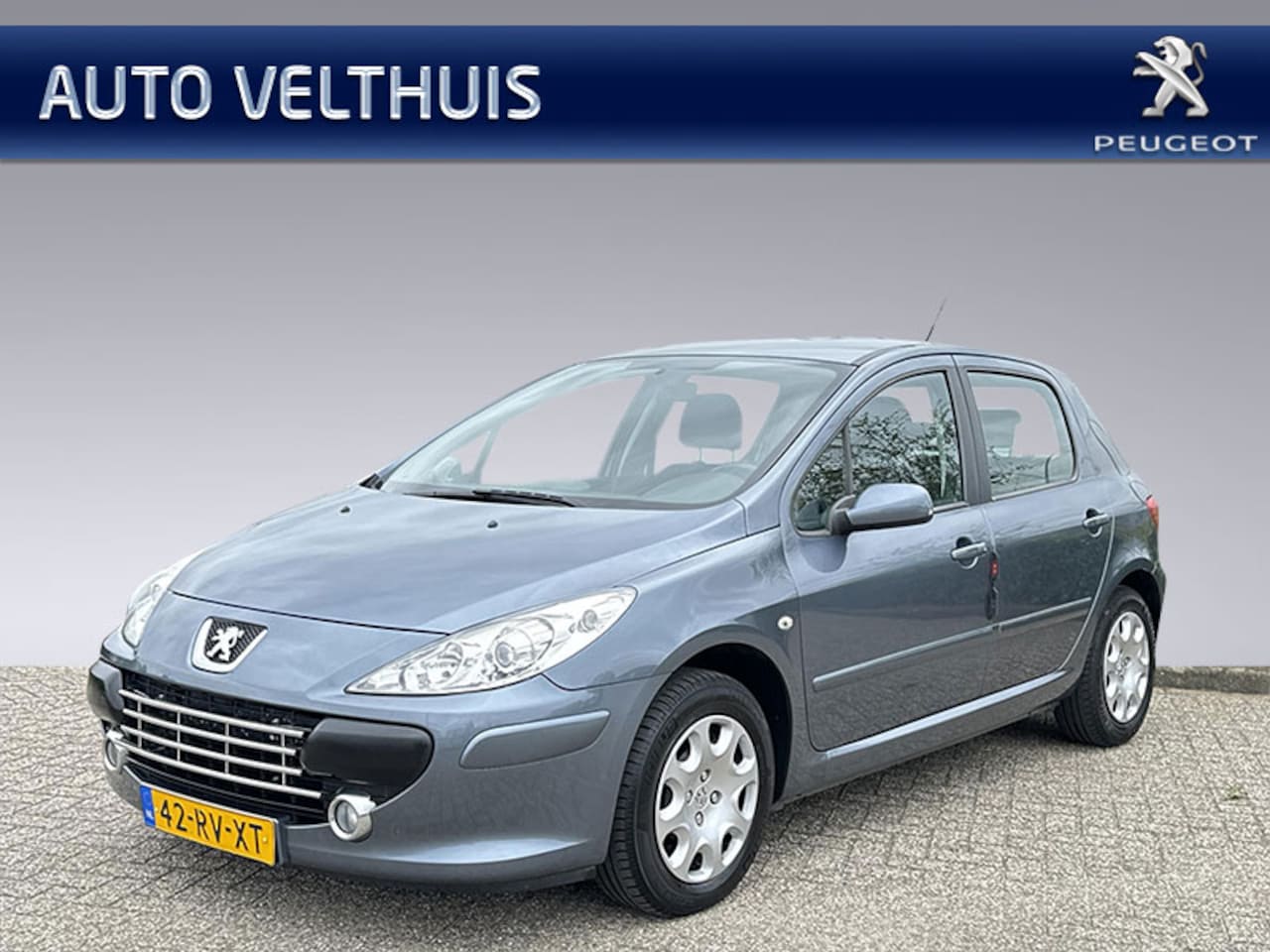 Peugeot 307 - 1.6-16V XS 1.6 16V 110PK 5-drs xs - AutoWereld.nl