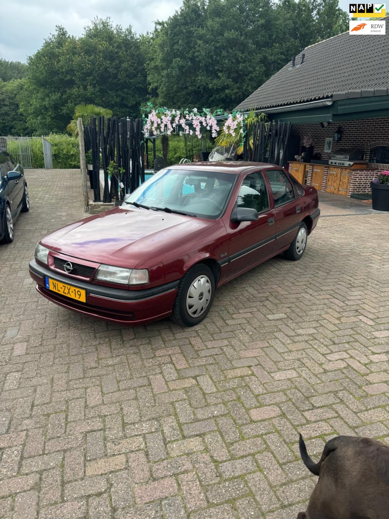 Opel Vectra - 1.6i GL kat. 1.6i GL kat. - AutoWereld.nl