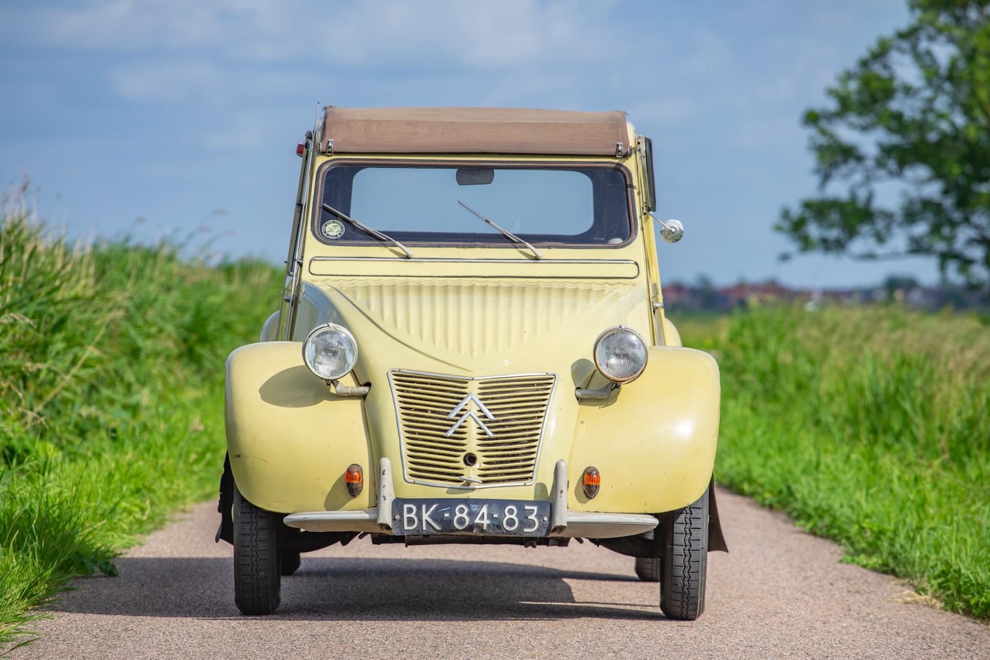 Citroën 2 CV - AZ - AutoWereld.nl