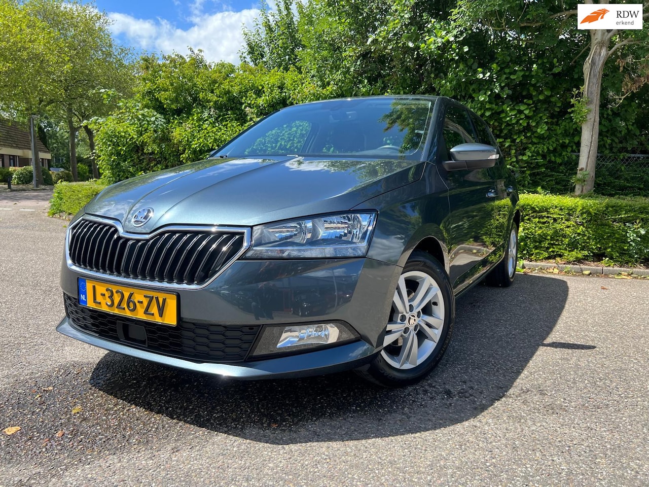 Skoda Fabia - 1.0 TSI Online Edition / Apple Carplay / parkeer sensoren - AutoWereld.nl