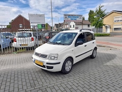 Fiat Panda - 1.2 Edizione Cool