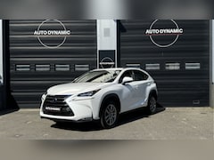 Lexus NX - 300h AWD Sport Edition Hybrid Aut | Navi