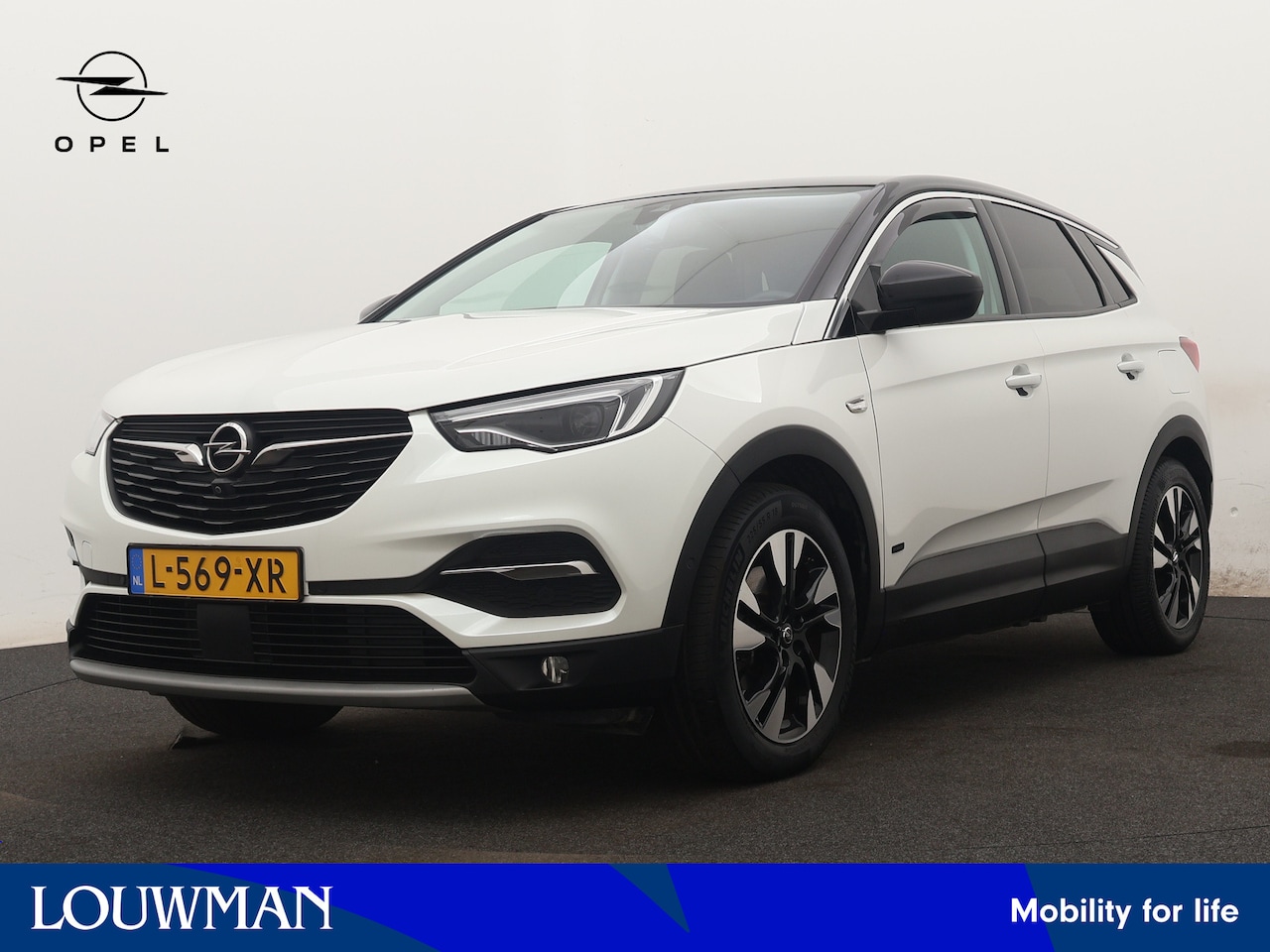 Opel Grandland X - 1.6 Turbo Hybrid4 Business Elegance 1.6 Turbo Hybrid4 Business Elegance - AutoWereld.nl