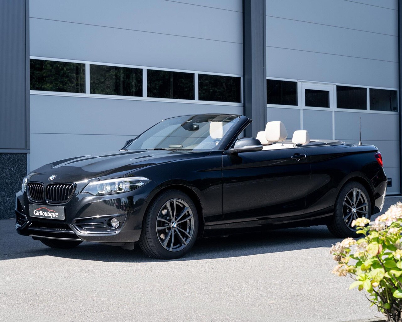 BMW 2-serie Cabrio - 218i Executive I Leer I Aut I PDC I Harman/Kardon I Cabrio I - AutoWereld.nl