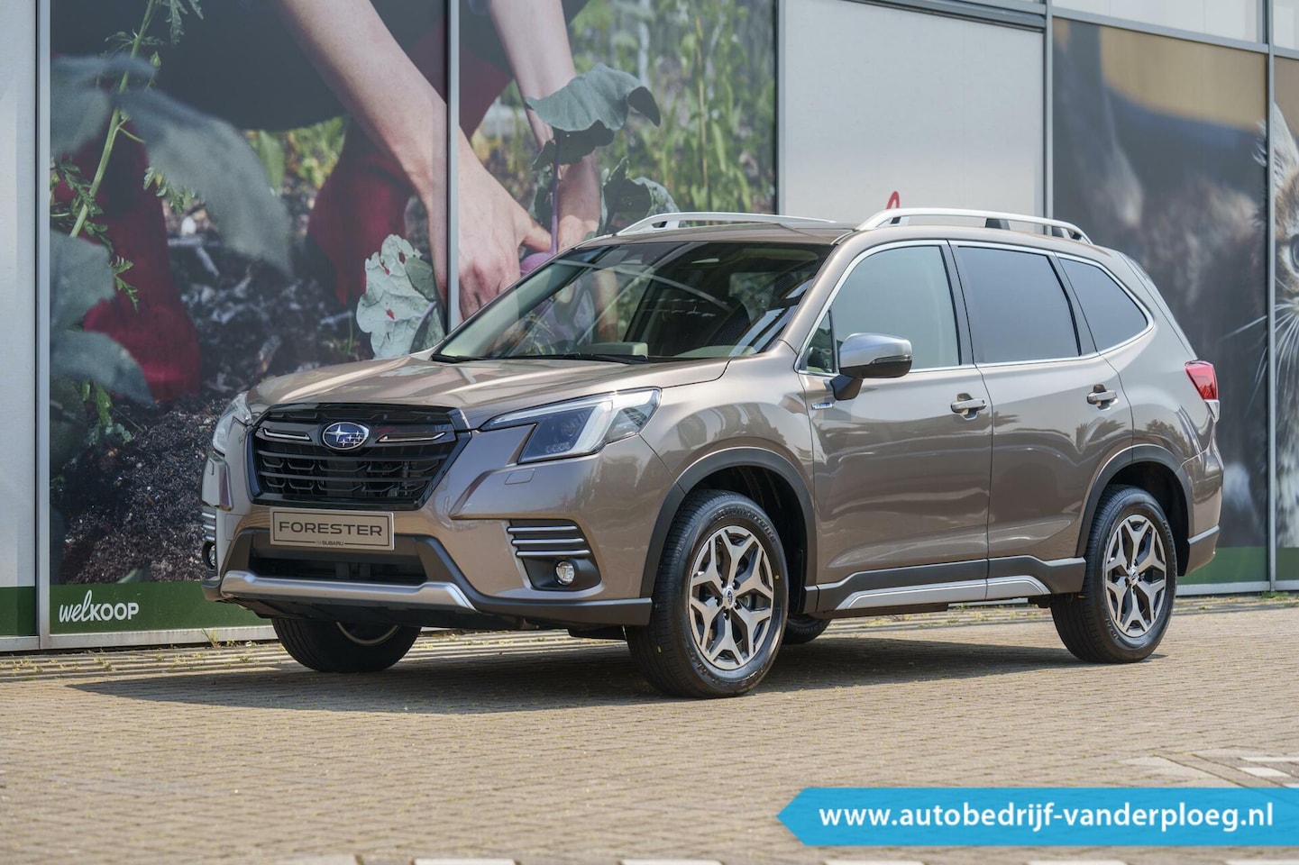 Subaru Forester - 2.0i e-BOXER VAN Luxury - AutoWereld.nl