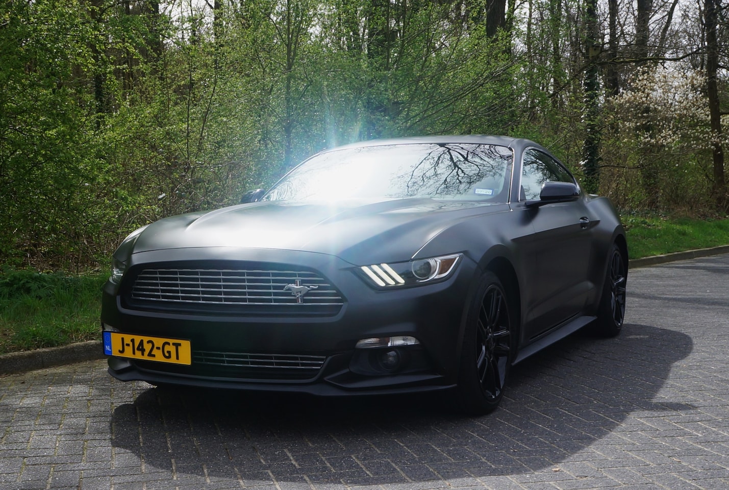 Ford Mustang Fastback - 2.3 EcoBoost | Pony package | unieke grill | leder | achteruitrijcamera | LoJack na-diefstal systeem - AutoWereld.nl