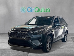 Toyota RAV4 - 2.5 Hybrid AWD Executive - Leder