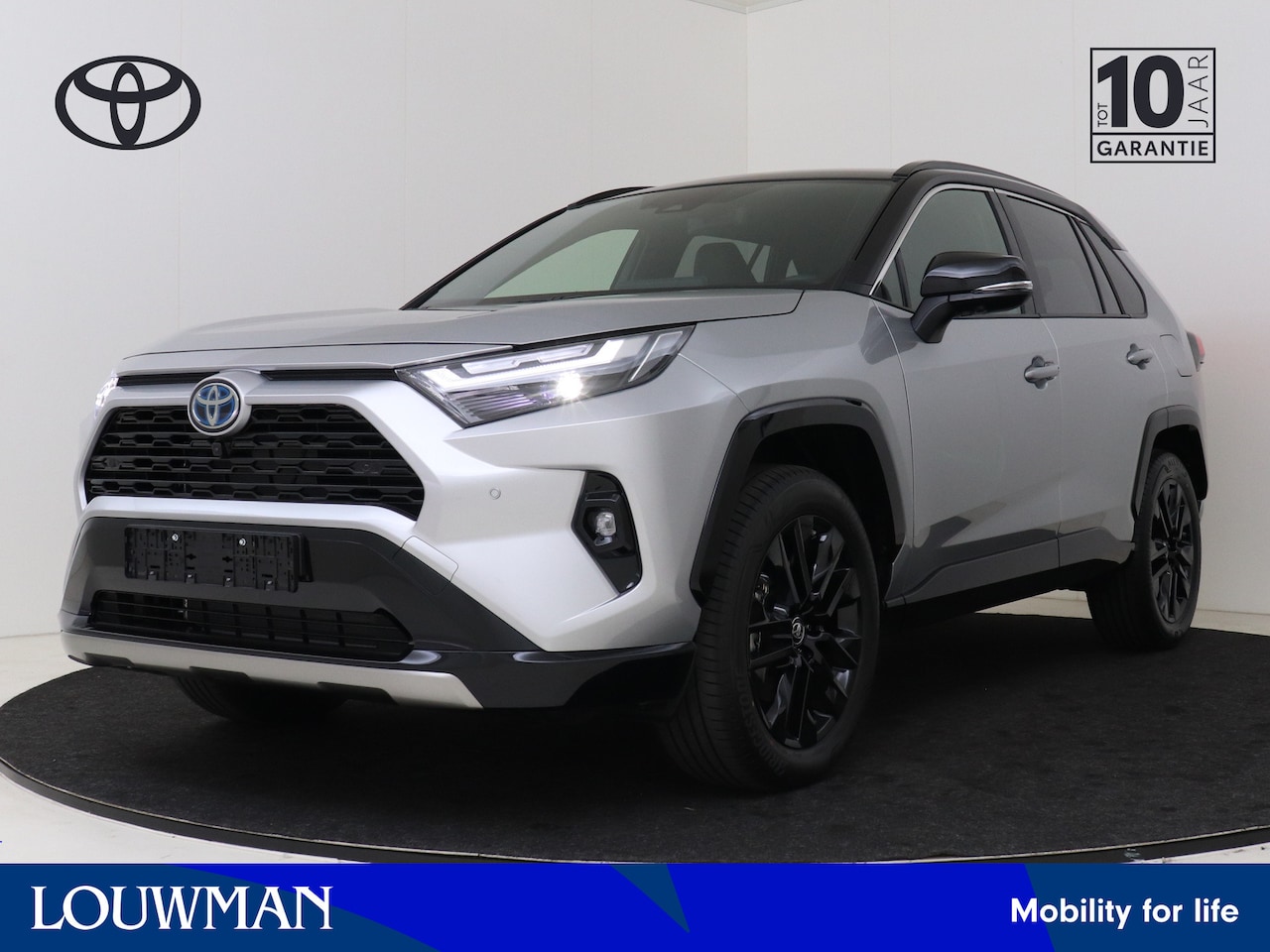 Toyota RAV4 - 2.5 Hybrid Business Plus Innovation Pack *demo* | Treeplanken - AutoWereld.nl